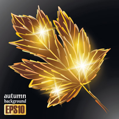 free vector Sparkling autumn leaves vector